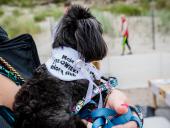 2024.06.22 - ŚLUB ELI I MARCINA