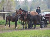 2014.10.11 - HUBERTUS 2014