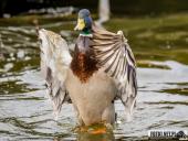 2025.03.31 - WOLSZTYŃSKA PLAŻA