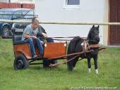 2014.10.11 - HUBERTUS 2014