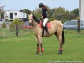 2014.10.11 - HUBERTUS 2014