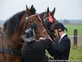 2014.10.11 - HUBERTUS 2014