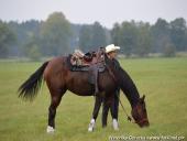 2014.10.11 - HUBERTUS 2014