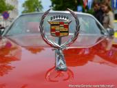 2014.05.03-04 - DNI ZIEMI WOLSZTYŃSKIEJ