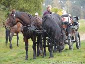 2014.10.11 - HUBERTUS 2014