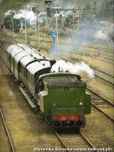 2014.05.03-04 - DNI ZIEMI WOLSZTYŃSKIEJ