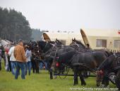 2014.10.11 - HUBERTUS 2014