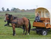 2014.10.11 - HUBERTUS 2014