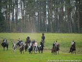 2014.10.11 - HUBERTUS 2014