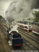 2014.05.03-04 - DNI ZIEMI WOLSZTYŃSKIEJ