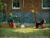 2014.09.07 - DOŻYNKI CHORZEMIN 2014