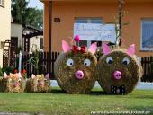 2014.09.07 - DOŻYNKI CHORZEMIN 2014