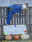 2014.09.07 - DOŻYNKI CHORZEMIN 2014