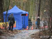 2017.02.18 - VII BIEG GÓRSKI LESZNO-GRZYBOWO