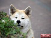 2015.05.31 - WOLSZTYŃSKA 10