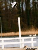 2025.04.05 - SOBOTNI PORANEK