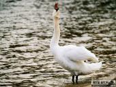 2025.04.05 - SOBOTNI PORANEK