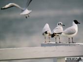 2025.04.05 - SOBOTNI PORANEK