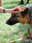 2017.09.17 - IV BIEG W KRAINIE KONWALII - CZĘŚĆ 4