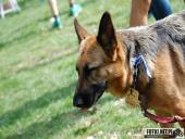 2017.09.17 - IV BIEG W KRAINIE KONWALII - CZĘŚĆ 4