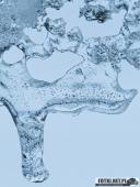 2025.02.15 - PORANNY SOBOTNI SPACER - WOLSZTYN