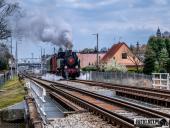 2025.04.12 - XI MARSZ KATYŃSKI WOLSZTYN