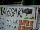 2024.08.03 – 4 PIKNIK STRAŻACKI WE WRONIAWACH cz. 1