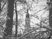 2025.02.15 - PORANNY SOBOTNI SPACER - WOLSZTYN