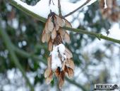 2025.02.15 - PORANNY SOBOTNI SPACER - WOLSZTYN