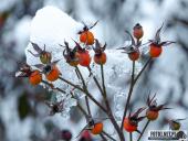 2025.02.15 - PORANNY SOBOTNI SPACER - WOLSZTYN