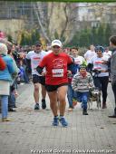 2014.11.11 - II WOLSZTYŃSKI BIEG NIEPODLEGŁOŚCI