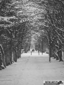 2025.02.15 - PORANNY SOBOTNI SPACER - WOLSZTYN