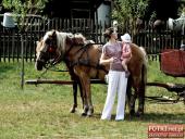 2015.08.16 - JARMARK MIODOWY