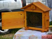 2015.08.16 - JARMARK MIODOWY