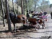 2019.03.24 - CHARYTATYWNY BIEG PO SZANSĘ DLA ADAMA - część 5 i 6