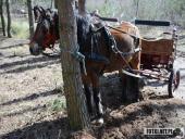 2019.03.24 - CHARYTATYWNY BIEG PO SZANSĘ DLA ADAMA - część 5 i 6