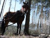 2019.03.24 - CHARYTATYWNY BIEG PO SZANSĘ DLA ADAMA - część 5 i 6