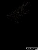 2024.08.03 – 4 PIKNIK STRAŻACKI WE WRONIAWACH cz. 3