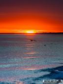 2025.08.26-27 - ZACHÓD I WSCHÓD SŁOŃCA NAD BAŁTYKIEM