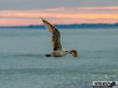 2025.08.26-27 - ZACHÓD I WSCHÓD SŁOŃCA NAD BAŁTYKIEM