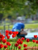 2016.05.06-07 - ULTRA CROSS GWiNT