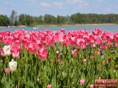 2016.05.06-07 - ULTRA CROSS GWiNT