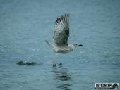 2025.08.26-27 - ZACHÓD I WSCHÓD SŁOŃCA NAD BAŁTYKIEM