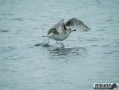 2025.08.26-27 - ZACHÓD I WSCHÓD SŁOŃCA NAD BAŁTYKIEM