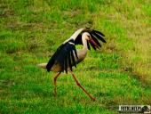 2025.06.15 - OKOLICE OBRY