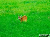 2025.06.15 - OKOLICE OBRY