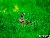 2025.06.15 - OKOLICE OBRY