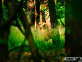 2025.06.15 - OKOLICE OBRY