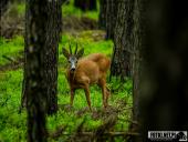 2025.06.27 - PIĄTKOWY PORANEK