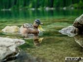 2025.07.19-26 - TATRY 2025